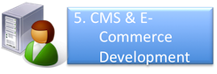 CMS & E-Commerce Development | CMS Work Flow | Crony Beuty | Appstronic.com | CMS, E-Commerce, Video, Multimedia Solution Provider, Puchong, Melaka Selangor