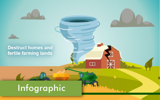 infograhic e-learning